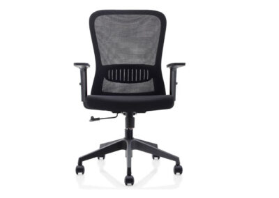 SILLON FR-173